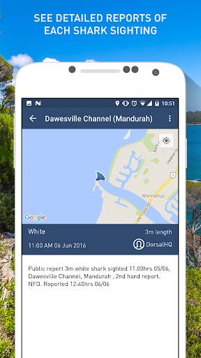 Dorsal Shark Reports screenshot 3