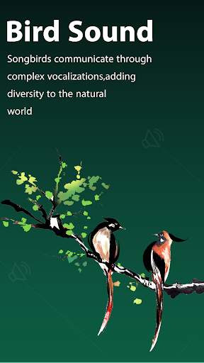 Bird Ringtone: Bird Sound screenshot 4