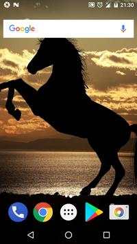 Horse Wallpaper HD - Horse Backgrounds screenshot 5