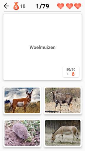Zoogdieren - leer alle dieren in Photo-Quiz! screenshot 5