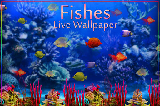 Fishes Live Wallpaper 2021 - Aquarium Koi Bgs screenshot 10