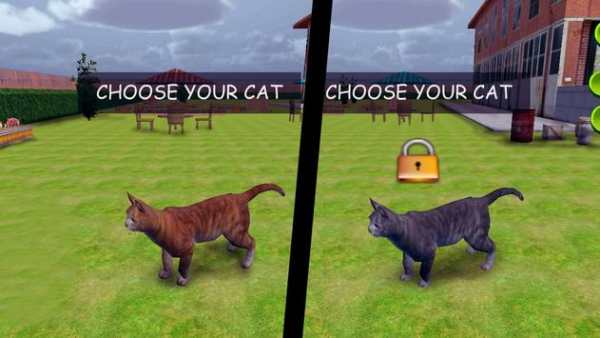 Angry Cat VS Mouse screenshot 2