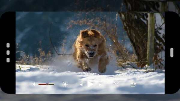 vedio Golde  player HD screenshot 7