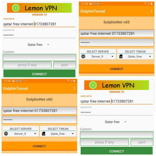Lemon VPN Agent screenshot 3