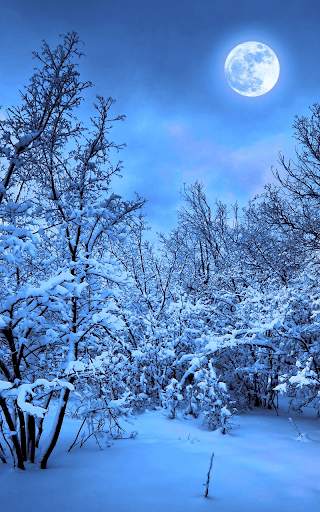 Snow Live Wallpaper HD screenshot 3