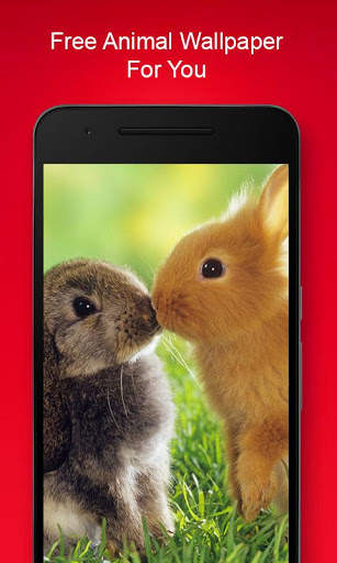 Free Animal Wallpaper screenshot 3