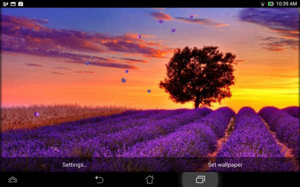 Lavender Live Wallpaper screenshot 6