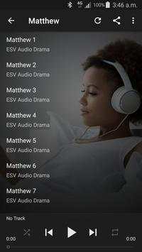 English Audio Bible (ESV) screenshot 6