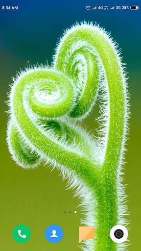 Macro Wallpaper HD screenshot 8