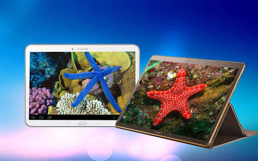 Starfish 3D Free Live Wallpaper screenshot 6