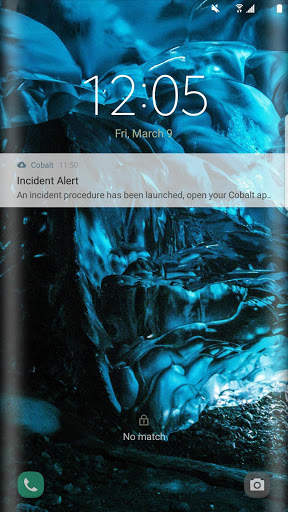 Cobalt Mobile Access screenshot 6