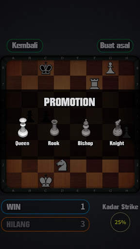 bermain catur screenshot 4