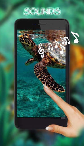 Tortoises Sea screenshot 1