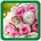 Roses Flowers Wallpaper 1.8
