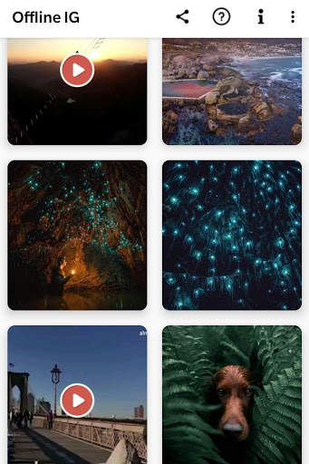 Offline Instagram Gallery screenshot 1