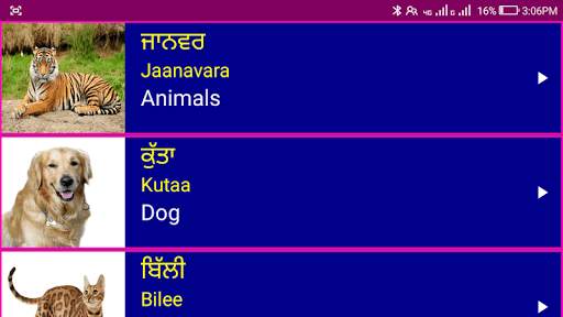 Learn Punjabi From English screenshot 11