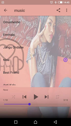 Spice Diana New & Best songs Ever without internet screenshot 6