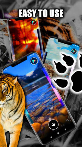 Tiger Live Wallpaper screenshot 2