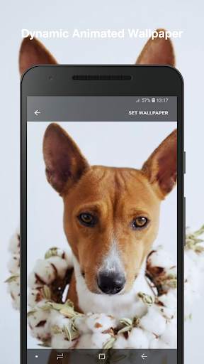 Puppy Live Wallpaper screenshot 2