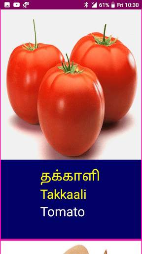 Learn Tamil Fruits and Vegetables Names screenshot 7