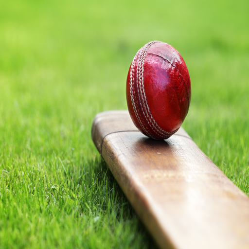 Cricket News icon