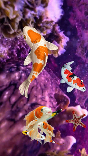 Koi Fish Wallpaper 3D - Water Fish Screensaver 3D screenshot 3