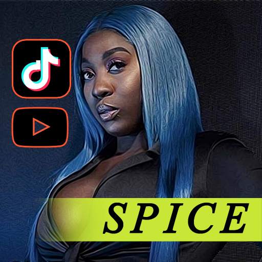 Spice Song Music 2.55