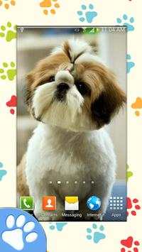Dog Wallpapers screenshot 5