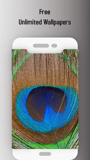 Love bird Live wallpaper screenshot 2