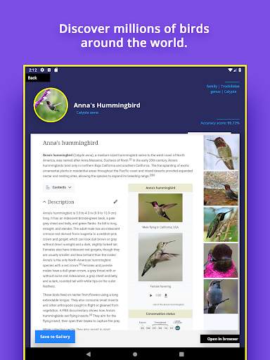 Bird Identifier screenshot 7