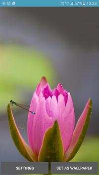 Lotus 3D Live Wallpaper HD screenshot 4