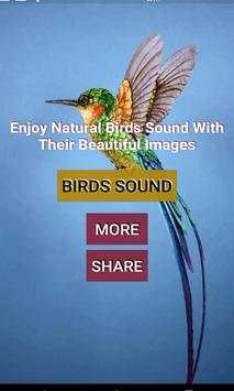 Birds Sound स्क्रीनशॉट 1