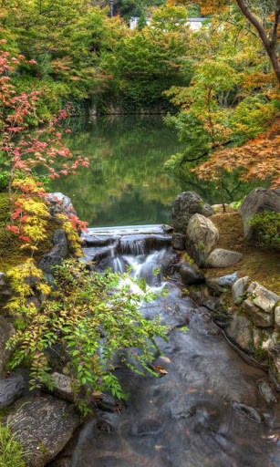 Zen Live Wallpaper : backgrounds hd screenshot 3