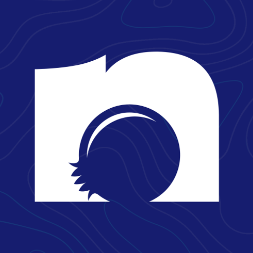 Numberry: Virtual Number icon