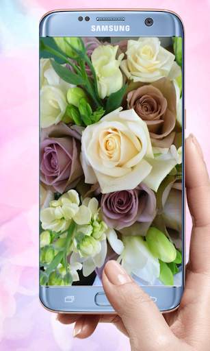 Rose Mobile Wallpapers screenshot 7