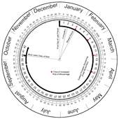 Pregnancy Calculator (Wheel) 1.1.0