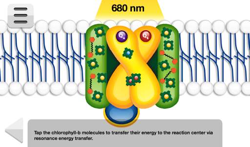 Biology Photosynthesis screenshot 16