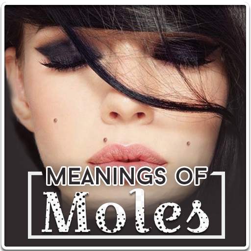 Meaning of Moles 1.0