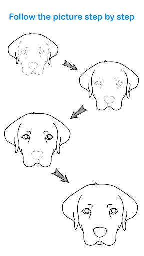 How To Draw Animal screenshot 3
