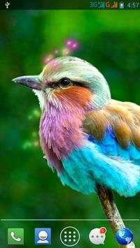 Moving Bird Live Wallpaper screenshot 3