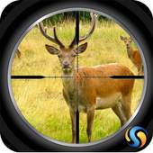 Sniper Deer Hunt 3D 1.0