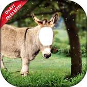 Donkey Photo Editor logo