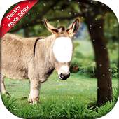 Donkey Photo Editor 1.0