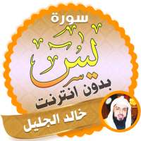 surah yasin full khalid al jalil Offline logo