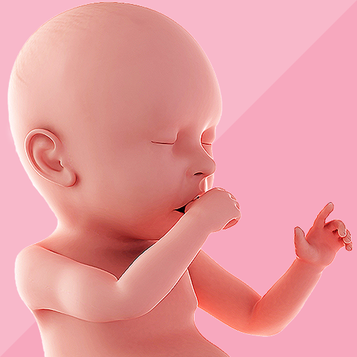 Pregnancy Tracker icon