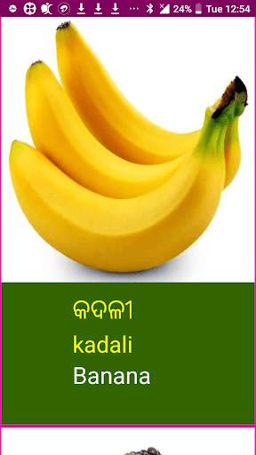 Learn Odia Fruits and Vegetables Names скриншот 4
