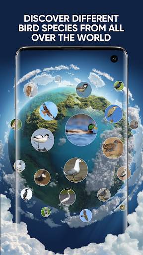 Bird Sounds: Free Bird Ringtones, Calls, Songs Mp3 screenshot 2
