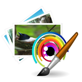 selfie beauty camera icon