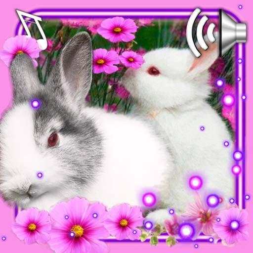 Funny Bunnies Live Wallpaper 1.16