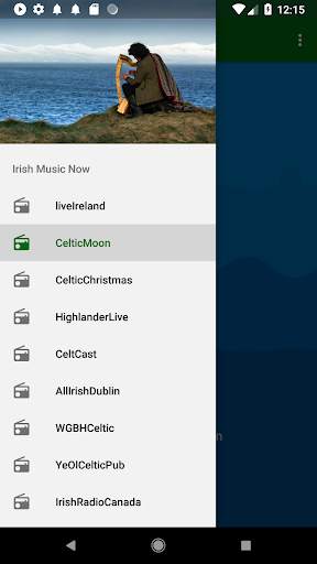 Irish Celtic Music Now screenshot 1